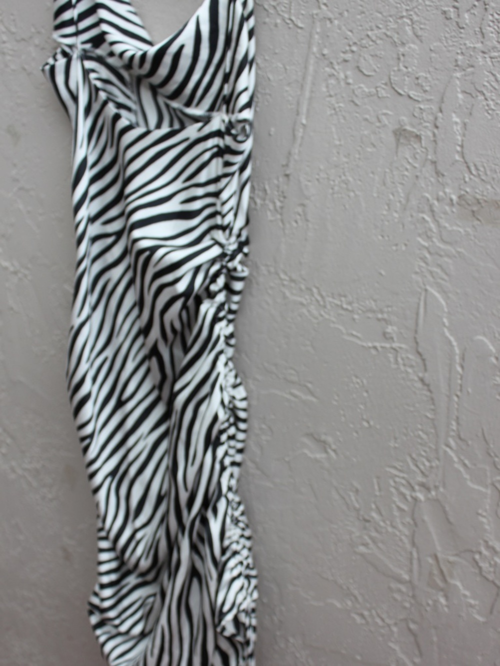Zebra Print Dress